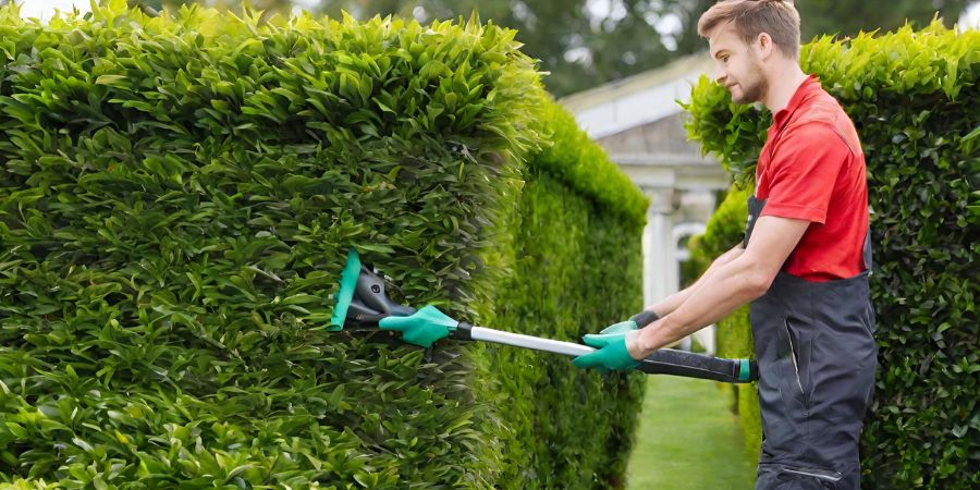 Wann ist der richtige Zeitpunkt, um die Hecke zu schneiden